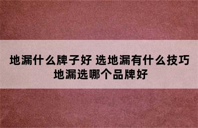 地漏什么牌子好 选地漏有什么技巧 地漏选哪个品牌好